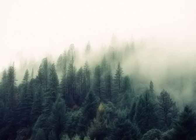 VIP免费特权的ddos测压网站